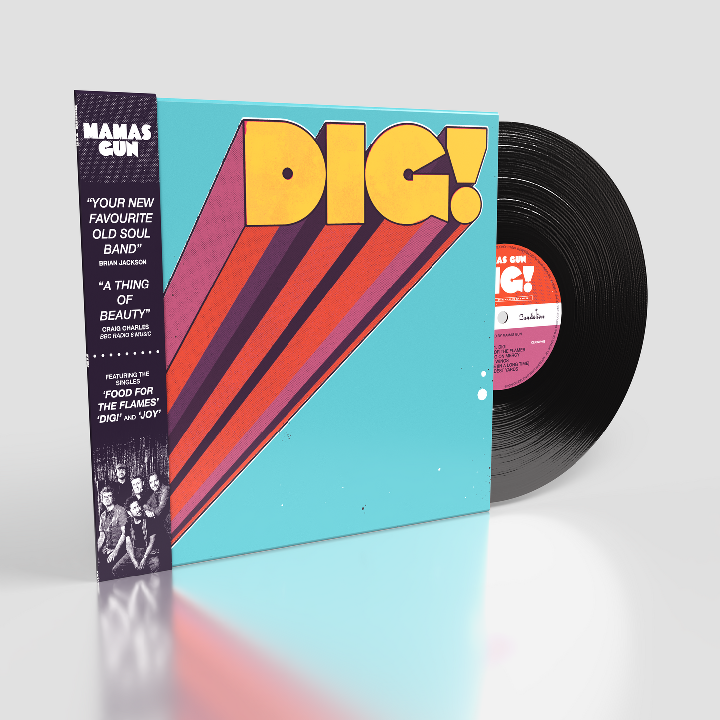 DIG! Vinyl (Black)