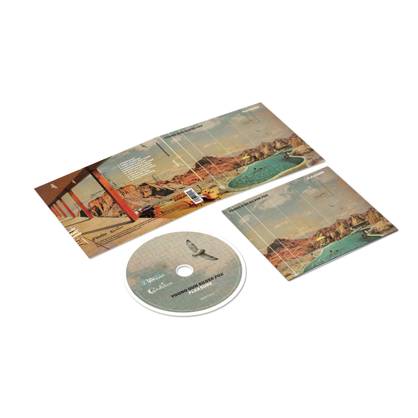 Pleasure (CD) - Pre-order. Released 2nd May 2025