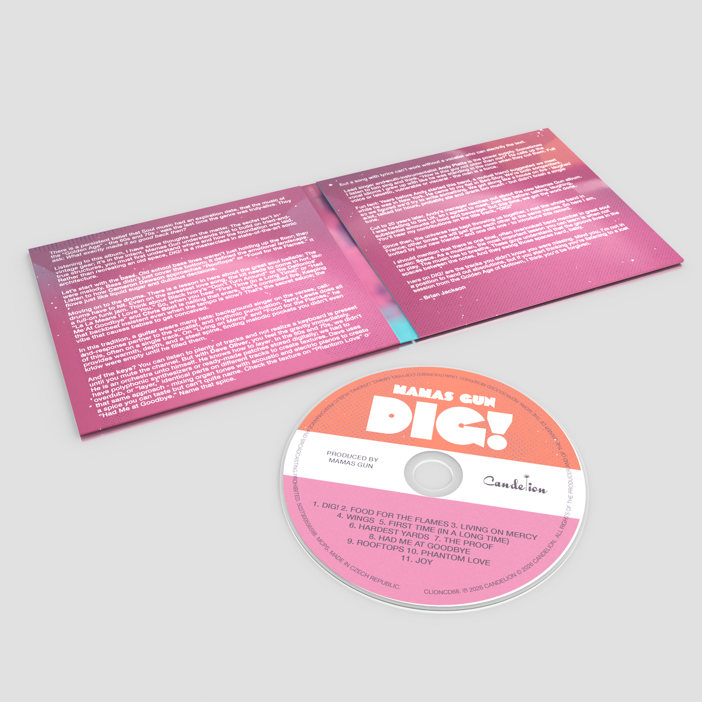 **Pre-Order**  DIG! CD BUNDLE offer - Grey Tee